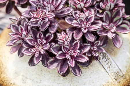 ƺӷⶳٶȼӿ쳤ȴﵽ631.3 ǧ׷