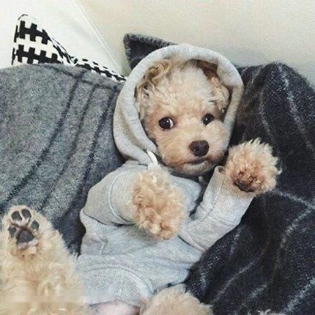 ɽһС5δůνģ31չů